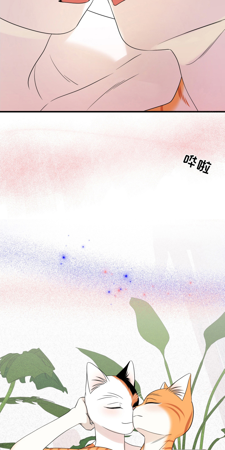 第106章：【第二季】求婚12
