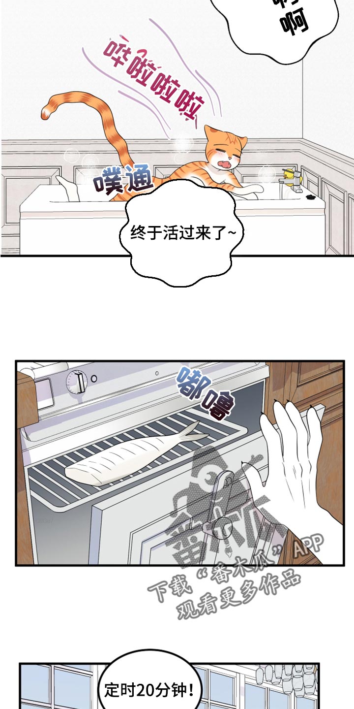 第69章：【第二季】责任与义务4