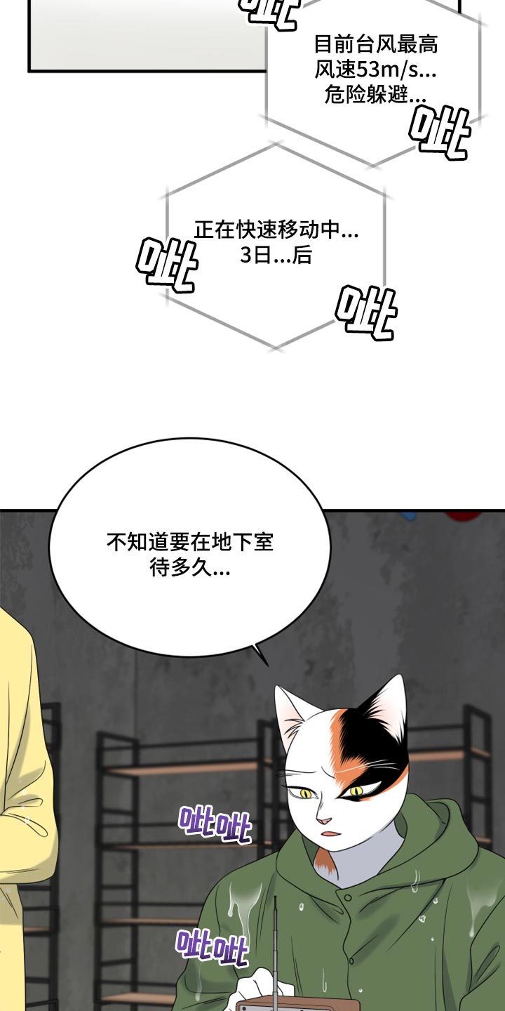第88章：【第二季】台风20
