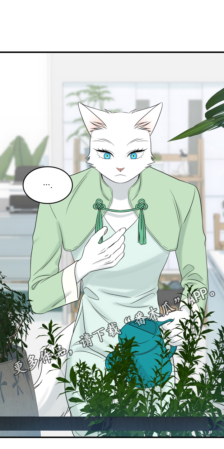 第106章：【第二季】求婚15