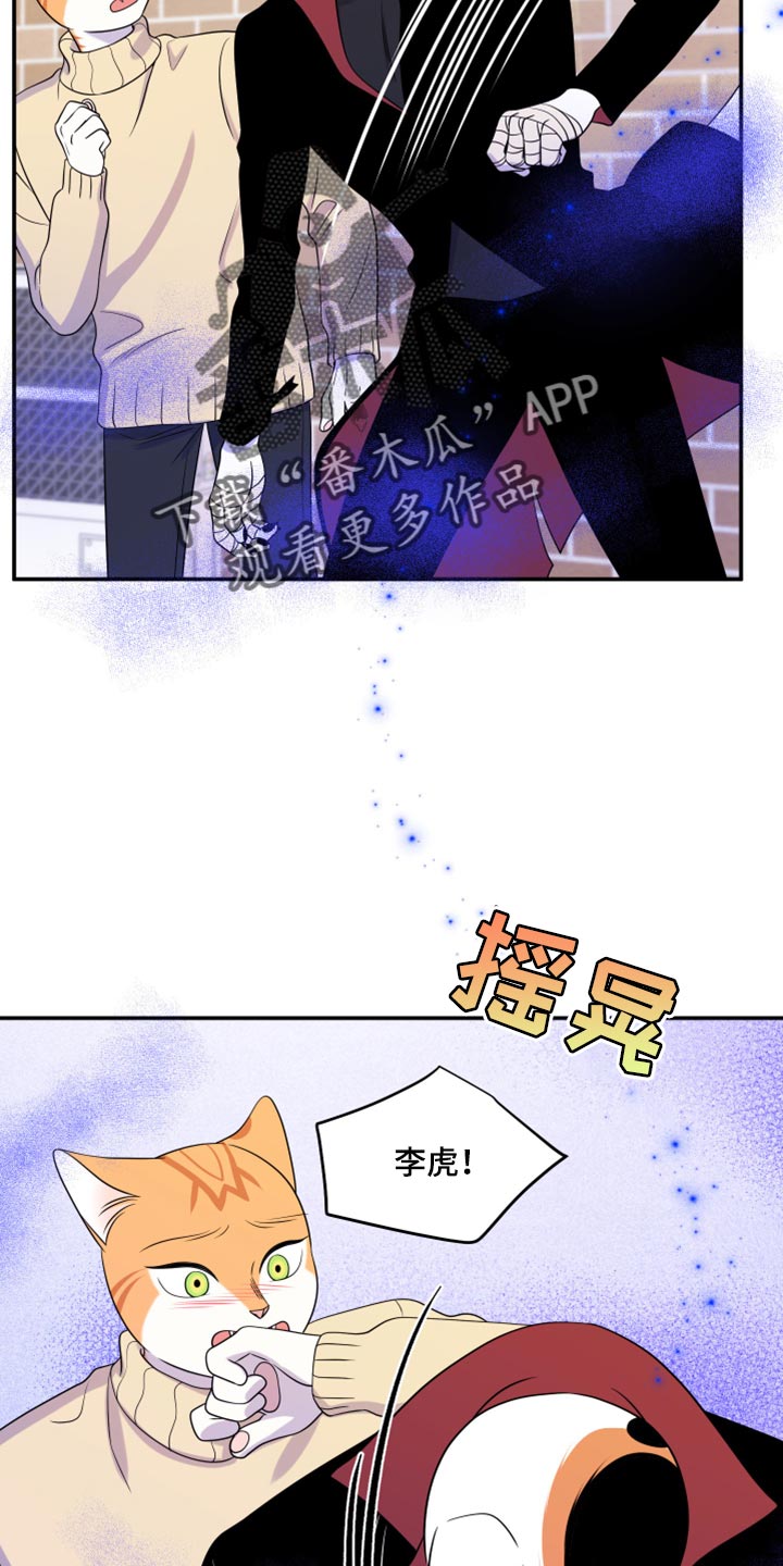 第49章：让我保护你8