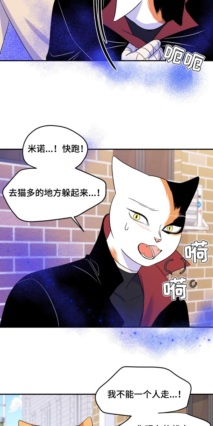 第49章：让我保护你9