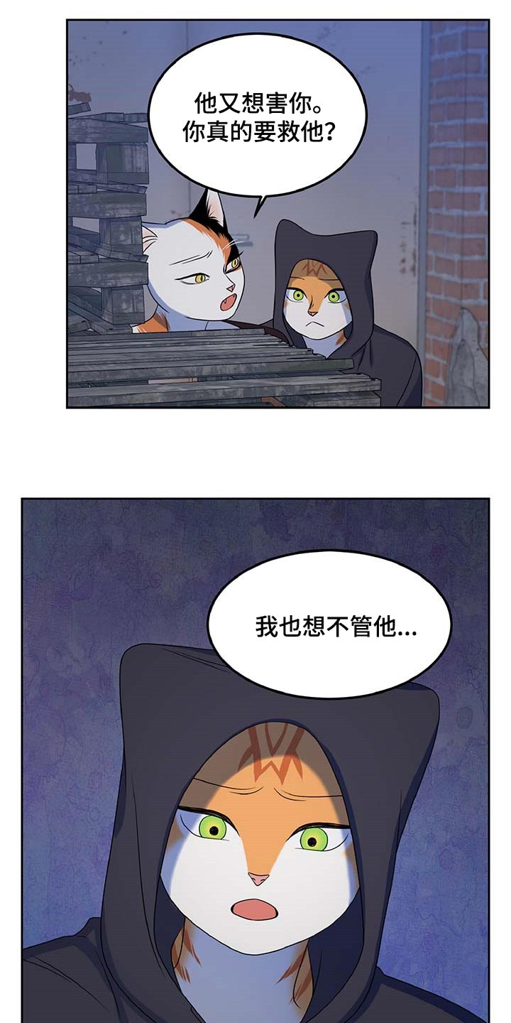 第37章：我很强的10