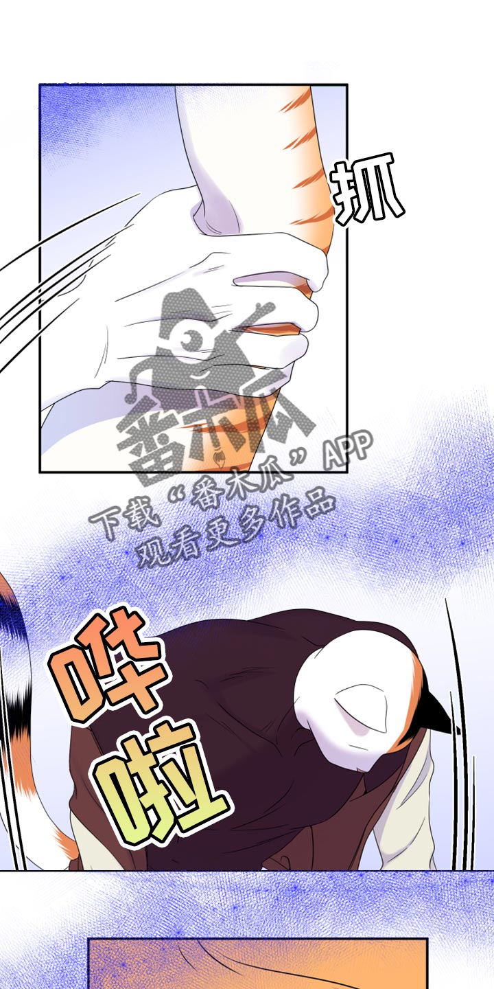 第64章：【第二季】恢复意识0
