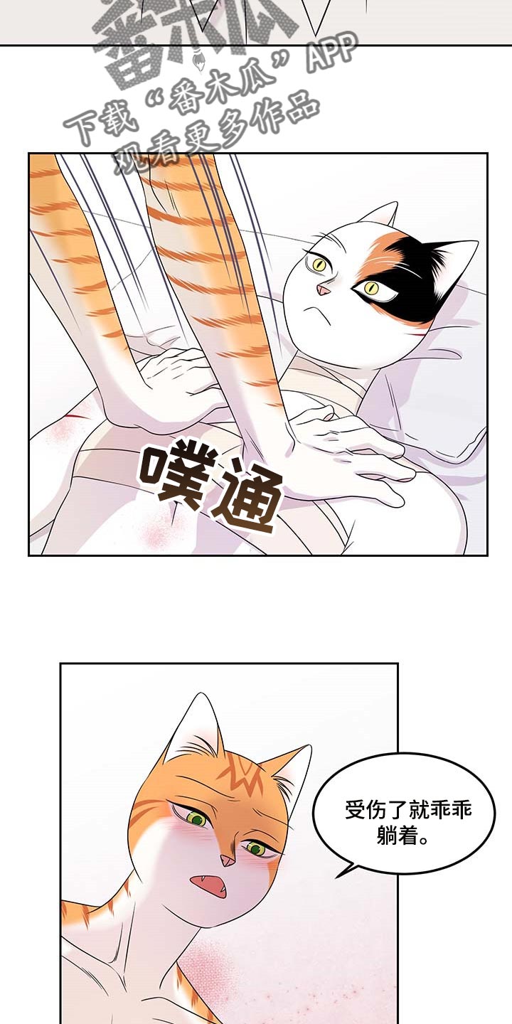第46章：征服5