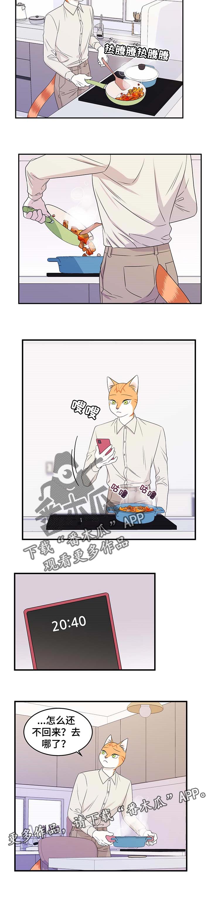 第25章：珍贵8