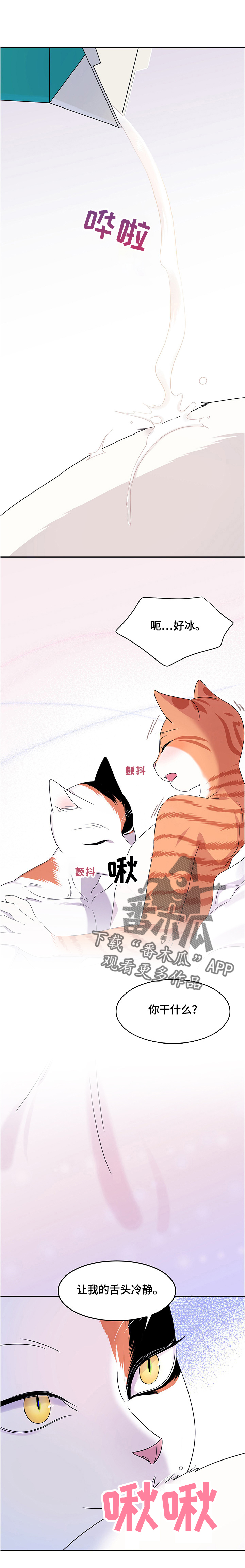 第12章：义务1