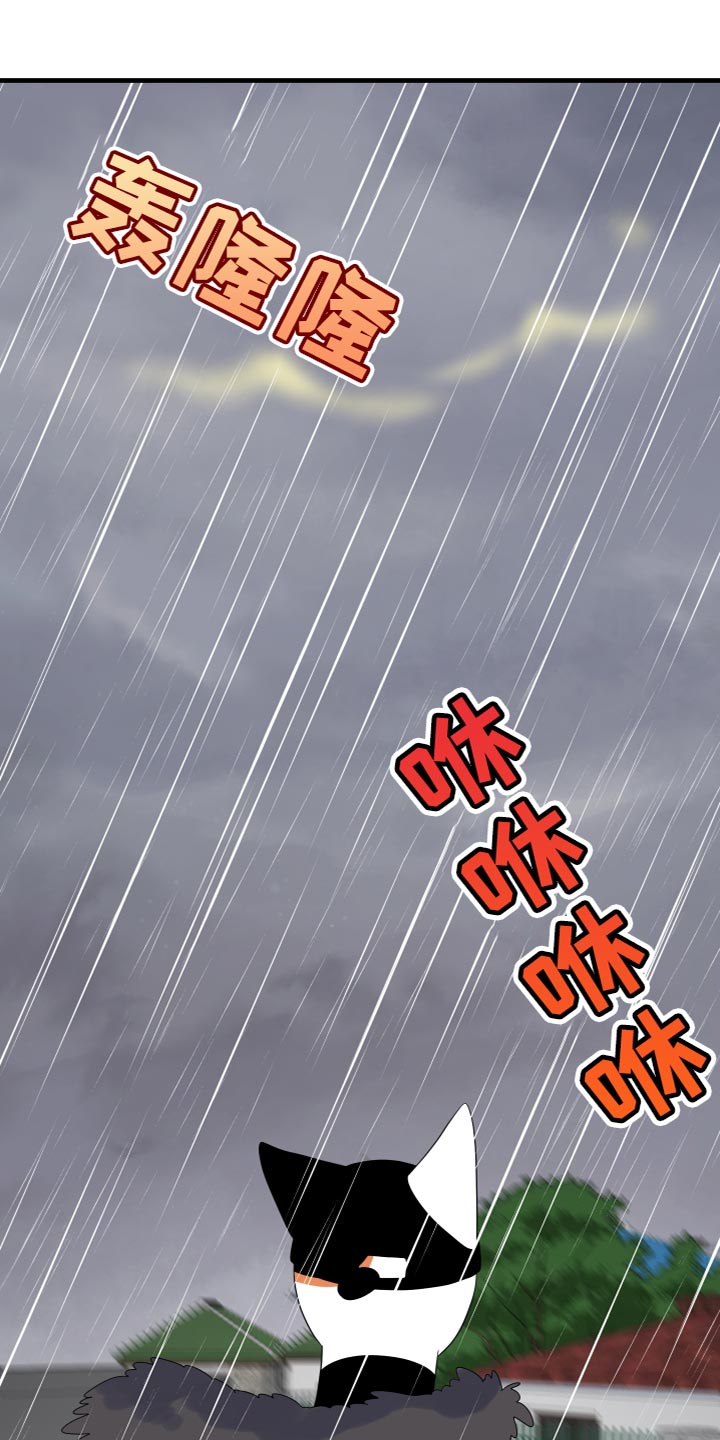 第109章：【第二季】我要回岛上10