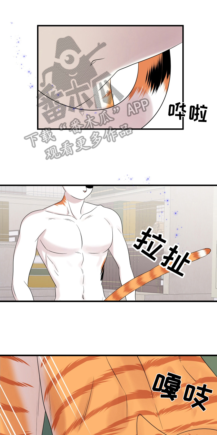 第105章：【第二季】分析0