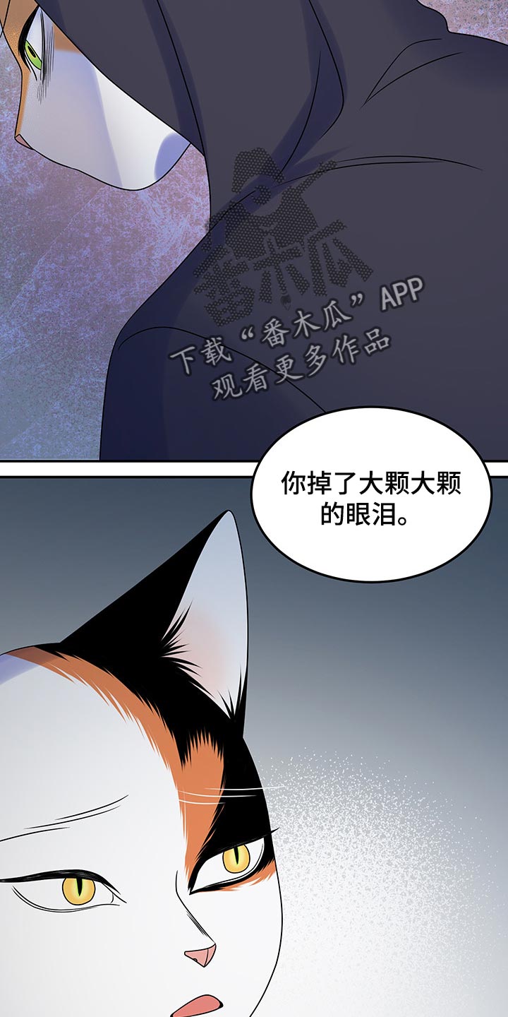 第36章：道歉16