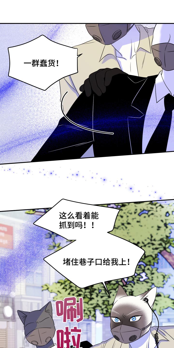 第49章：让我保护你18