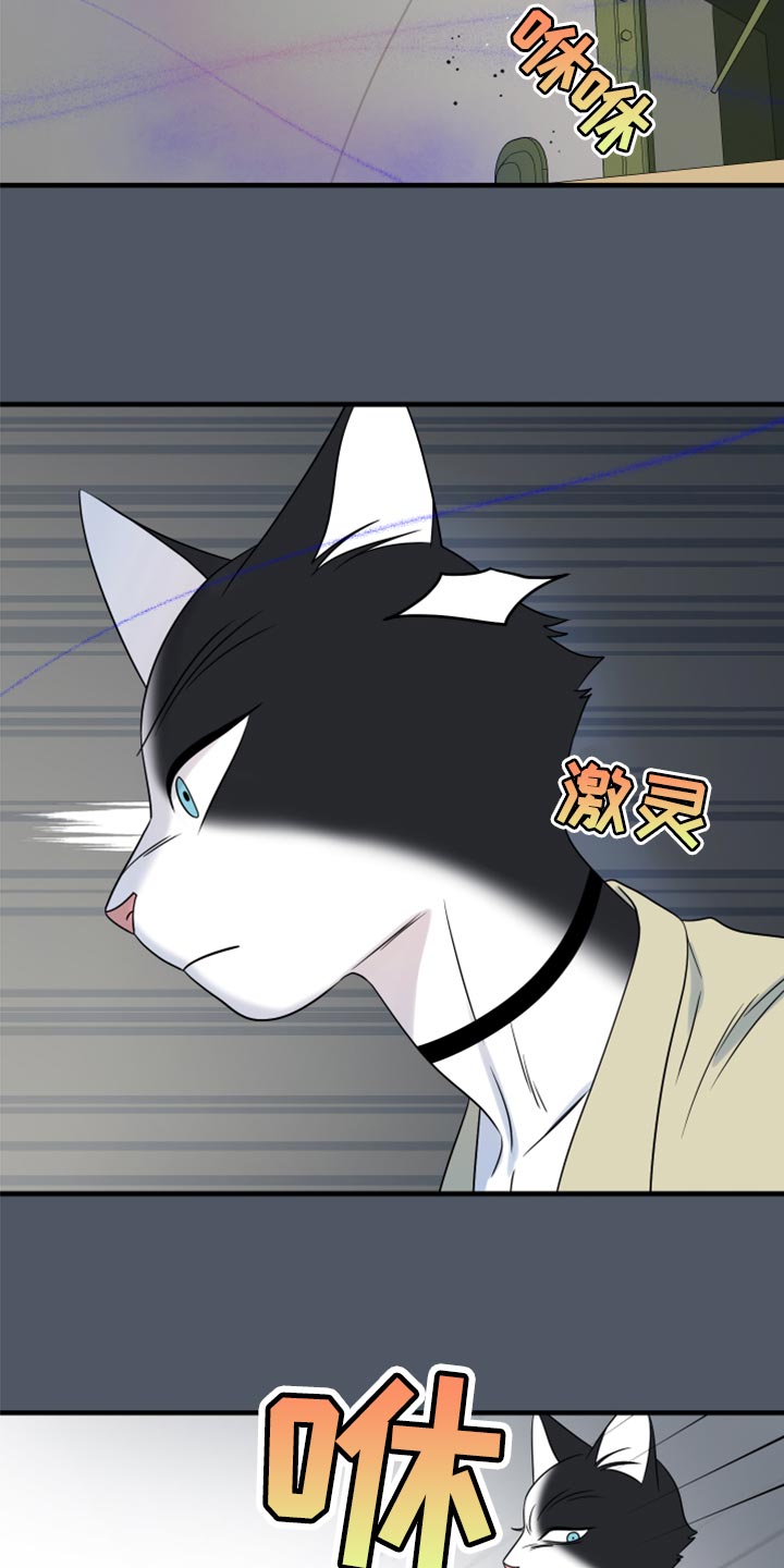 第83章：【第二季】捕猎16