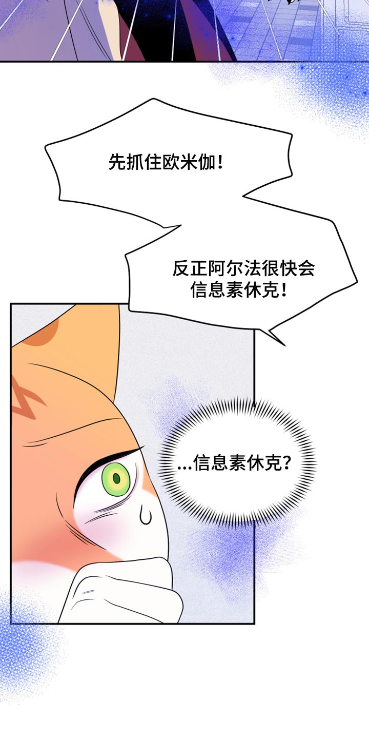 第49章：让我保护你12