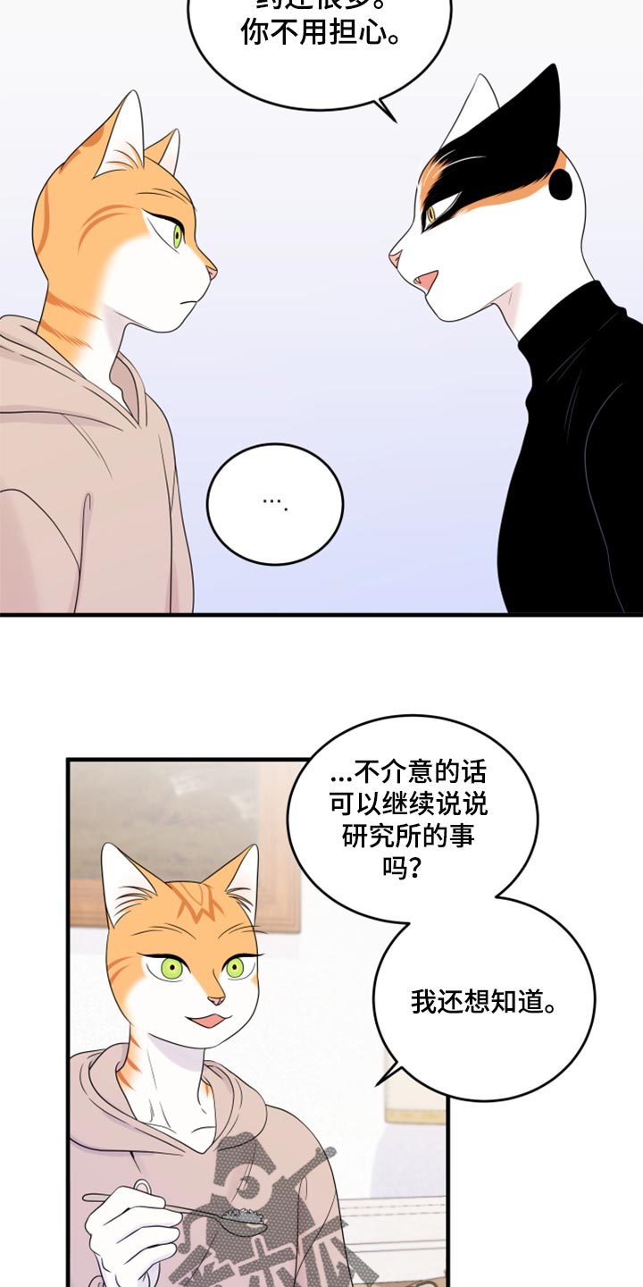 第73章：【第二季】绑架灵猫11