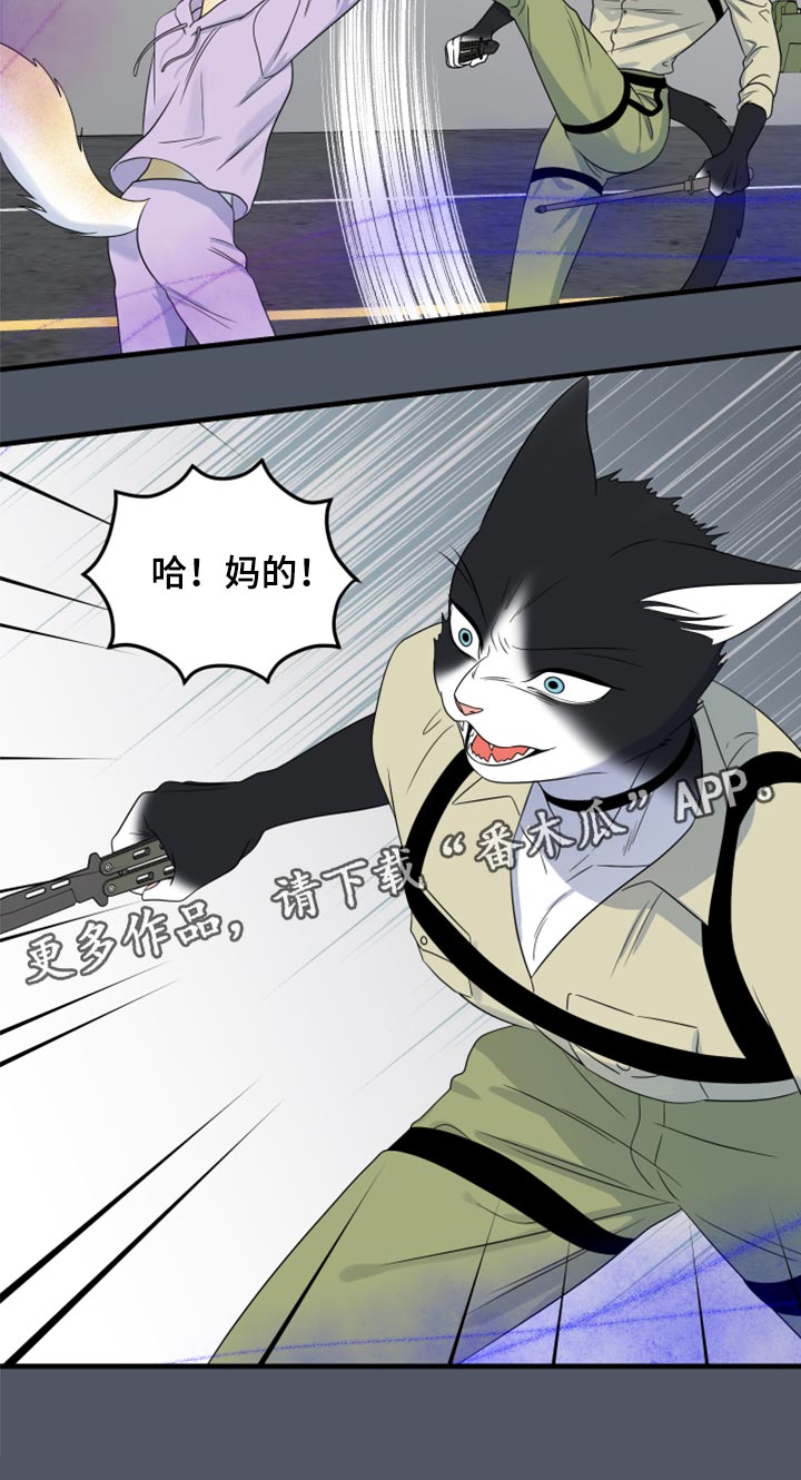 第83章：【第二季】捕猎24
