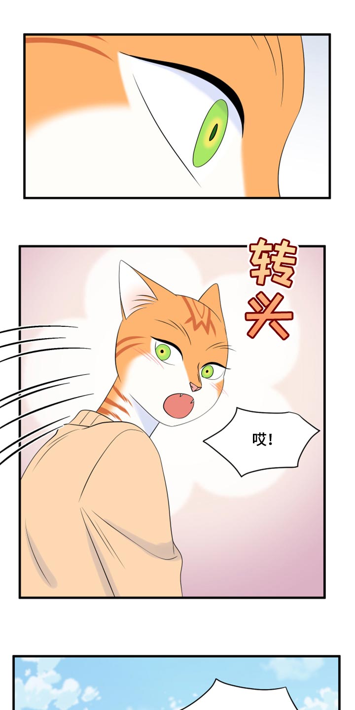 第68章：【第二季】狩猎本能18