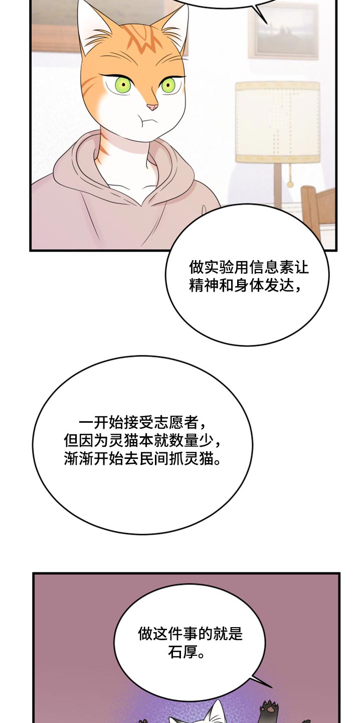 第73章：【第二季】绑架灵猫13
