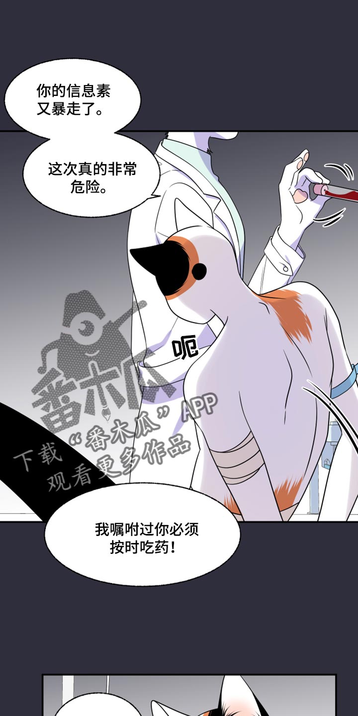 第52章：我的人生我做主（第一季完结）3