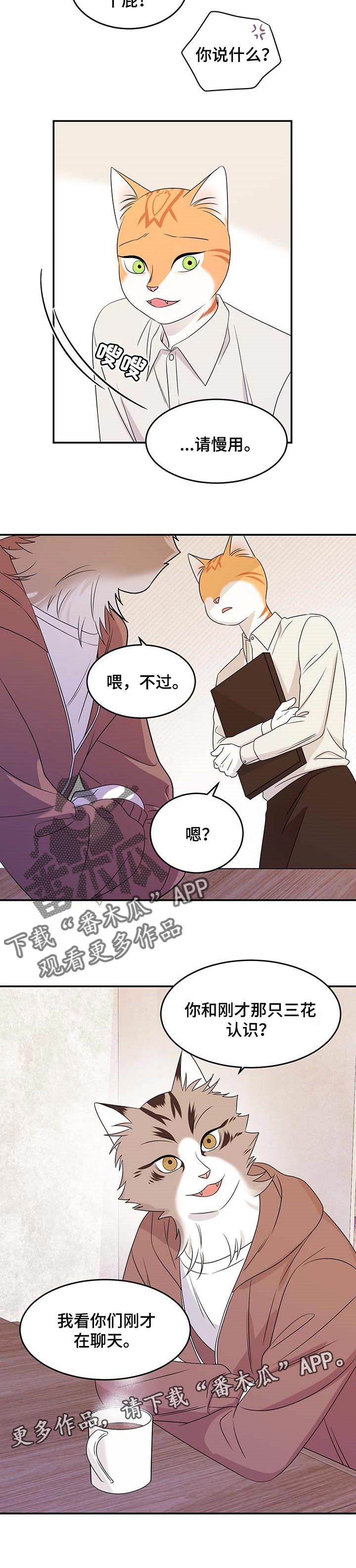 第24章：可惜9
