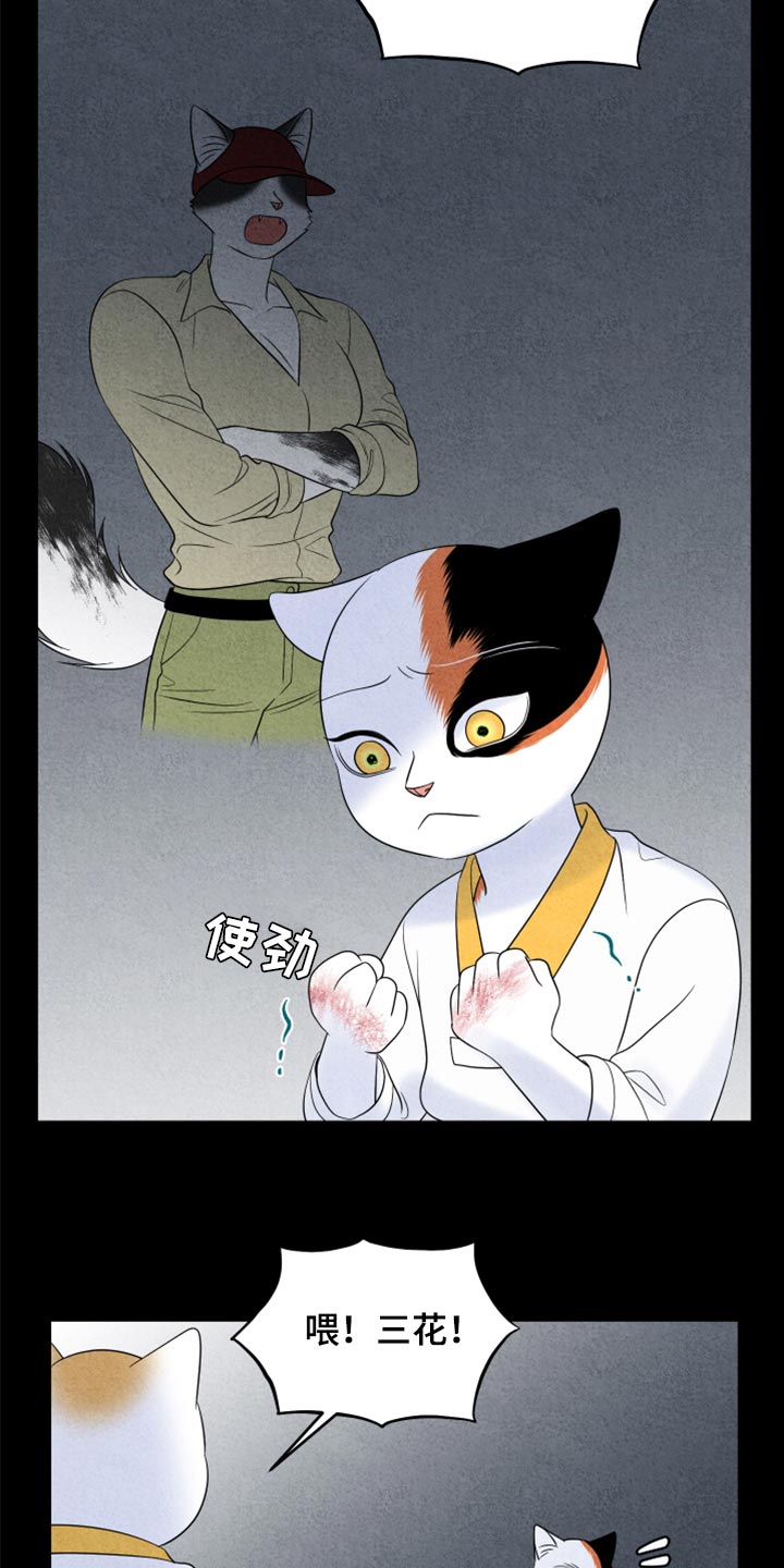 第69章：【第二季】责任与义务18