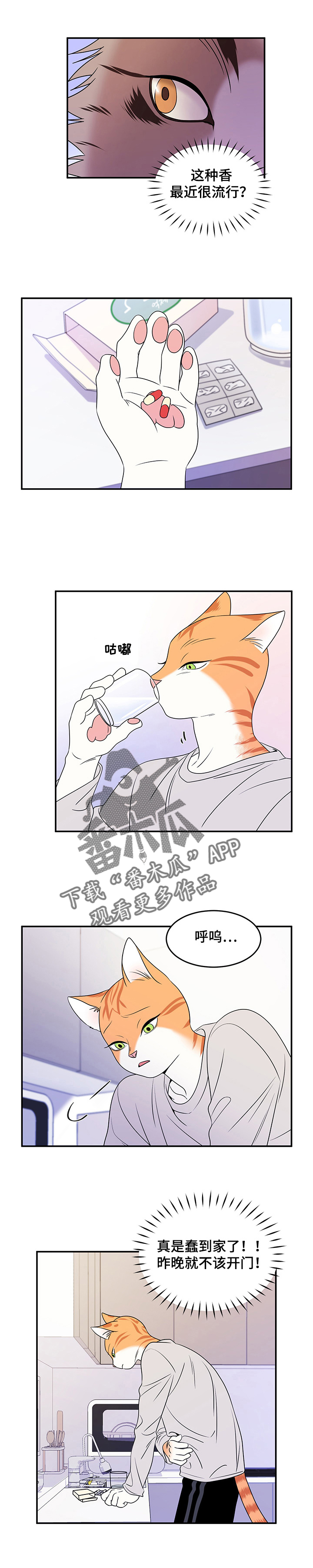 第5章：给我滚4