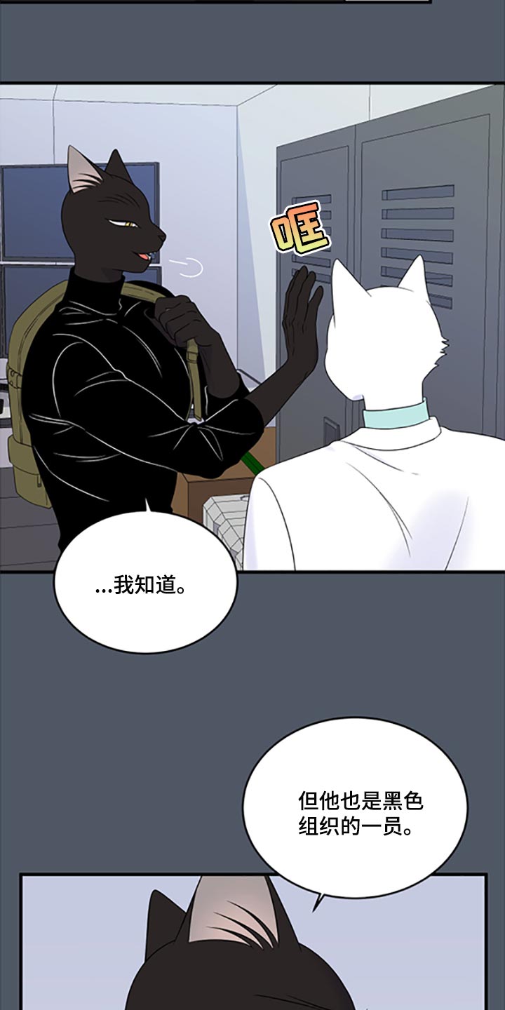 第78章：【第二季】优点也是弱点16