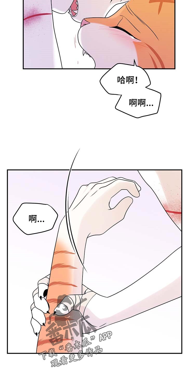 第47章：好好看着你6