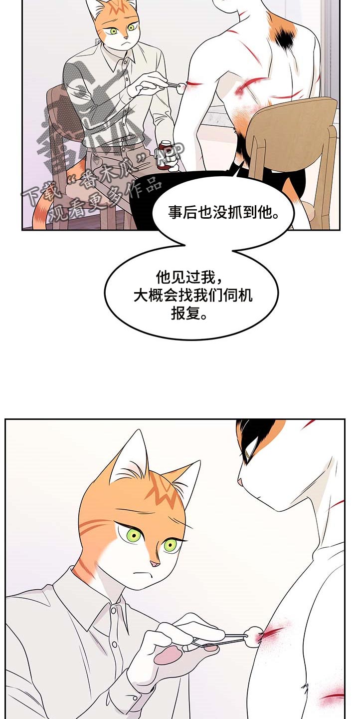 第45章：别哭5