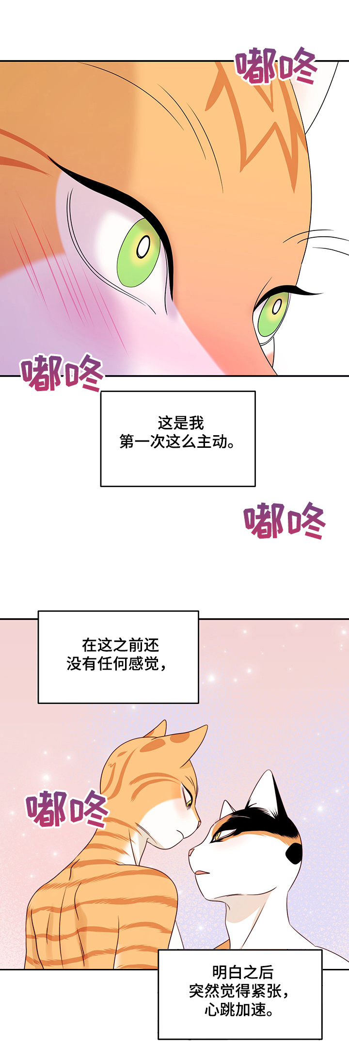 第13章：教我8