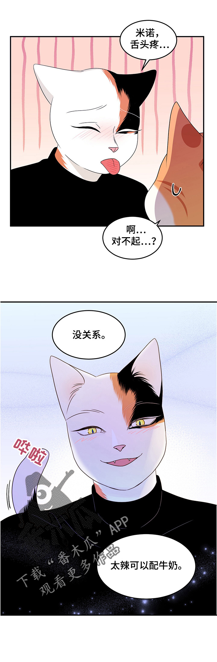 第12章：义务0