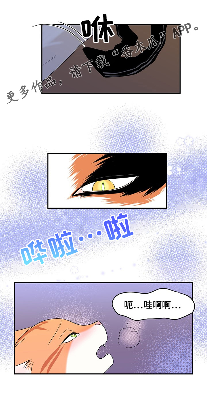 第3章：送抱9