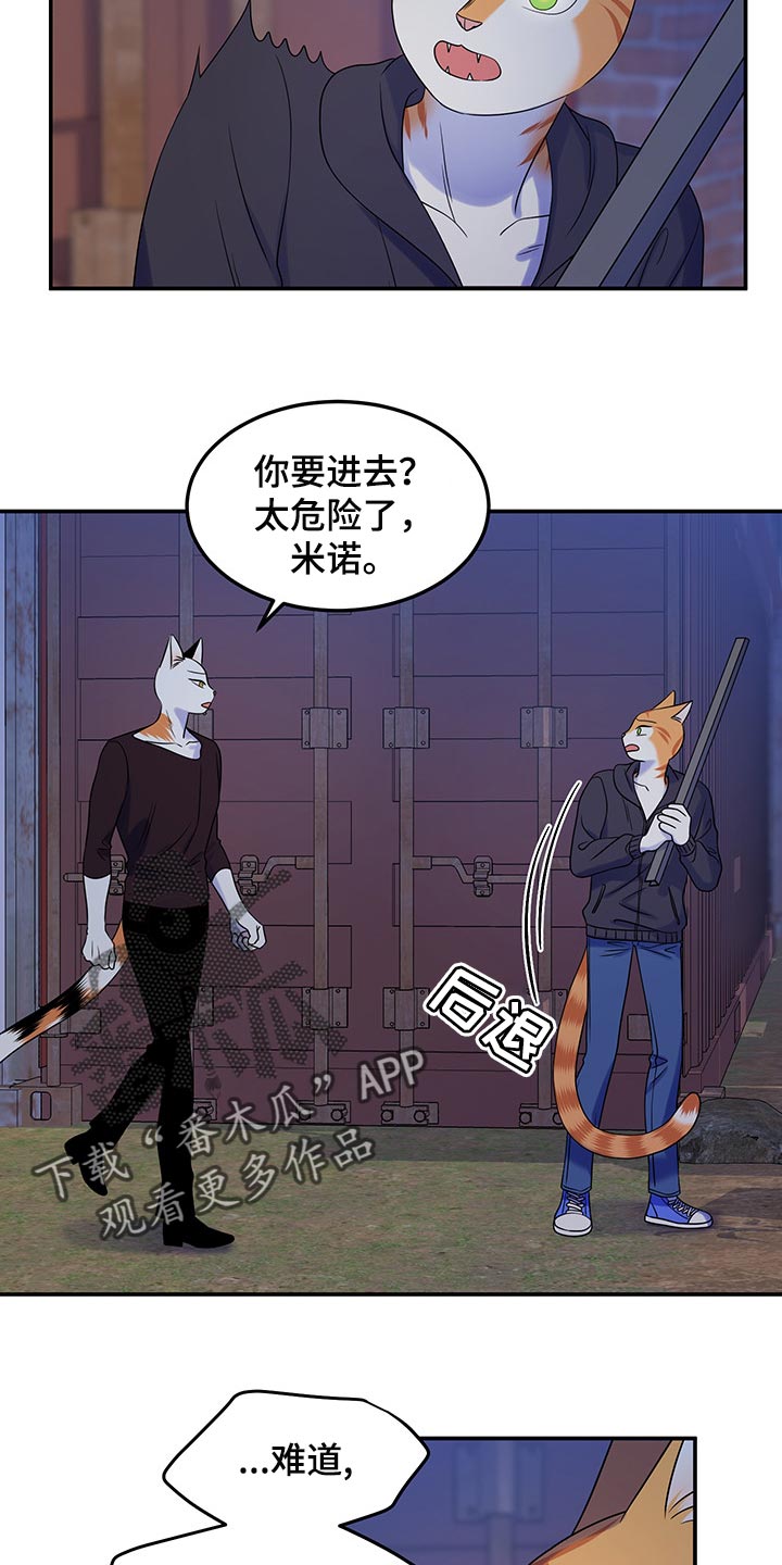 第35章：一个人很危险15