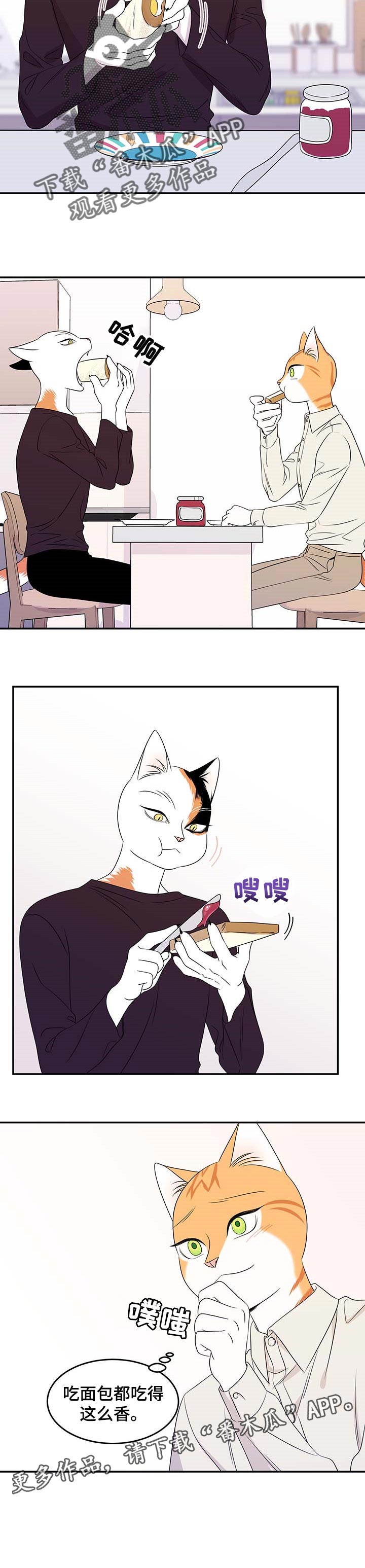 第21章：安心7