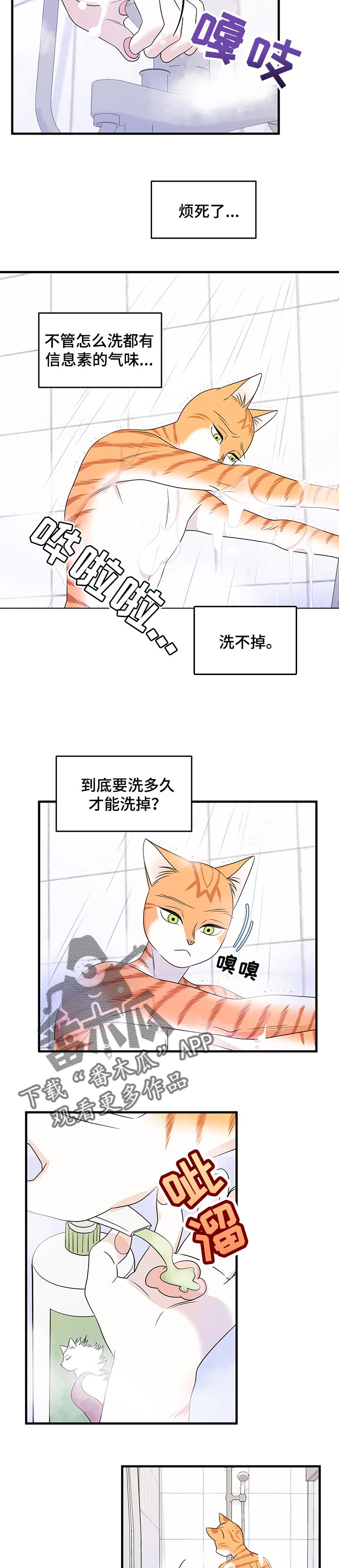 第33章：因果报应8