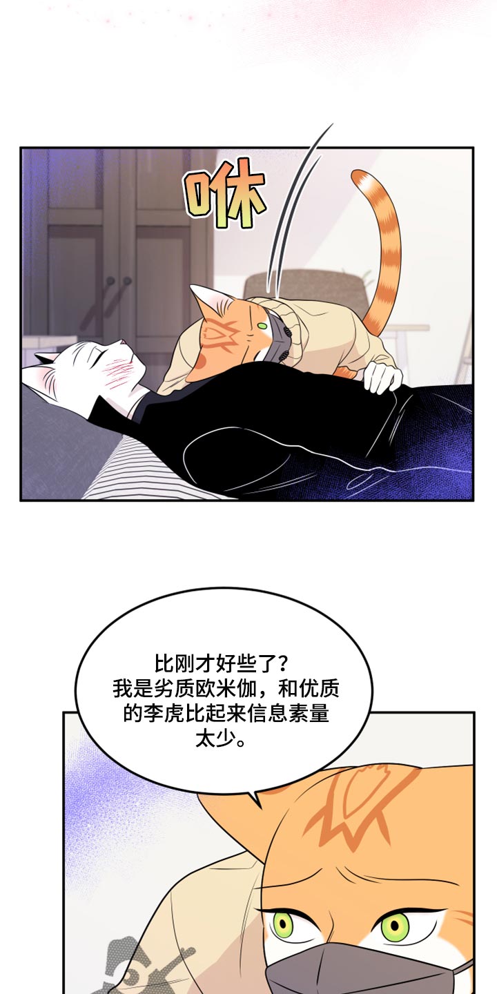 第51章：决定8