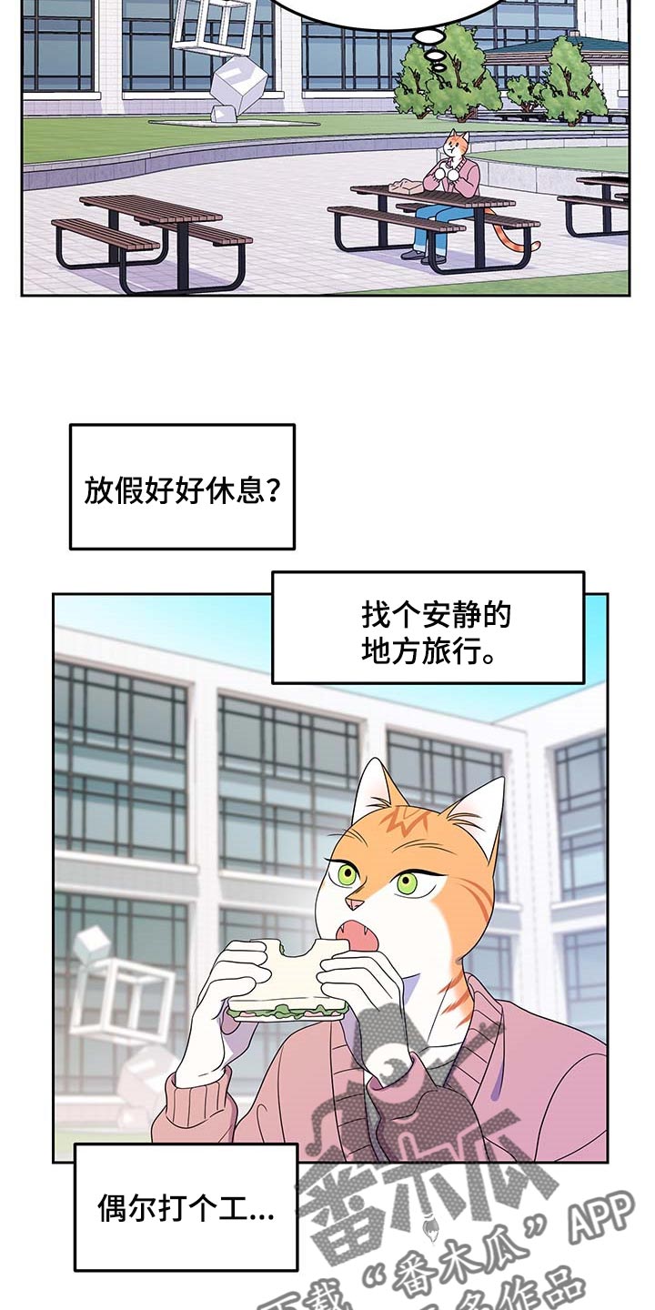第41章：重新回到平静的生活15
