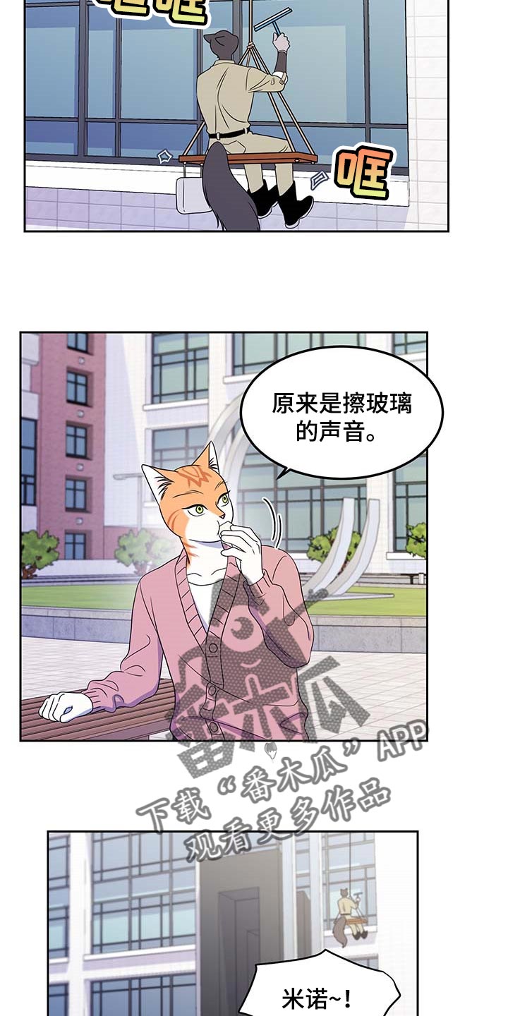 第41章：重新回到平静的生活19
