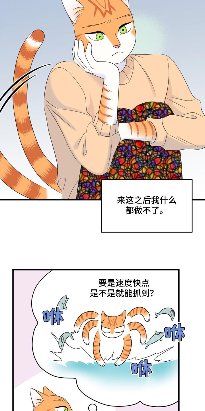 第68章：【第二季】狩猎本能16