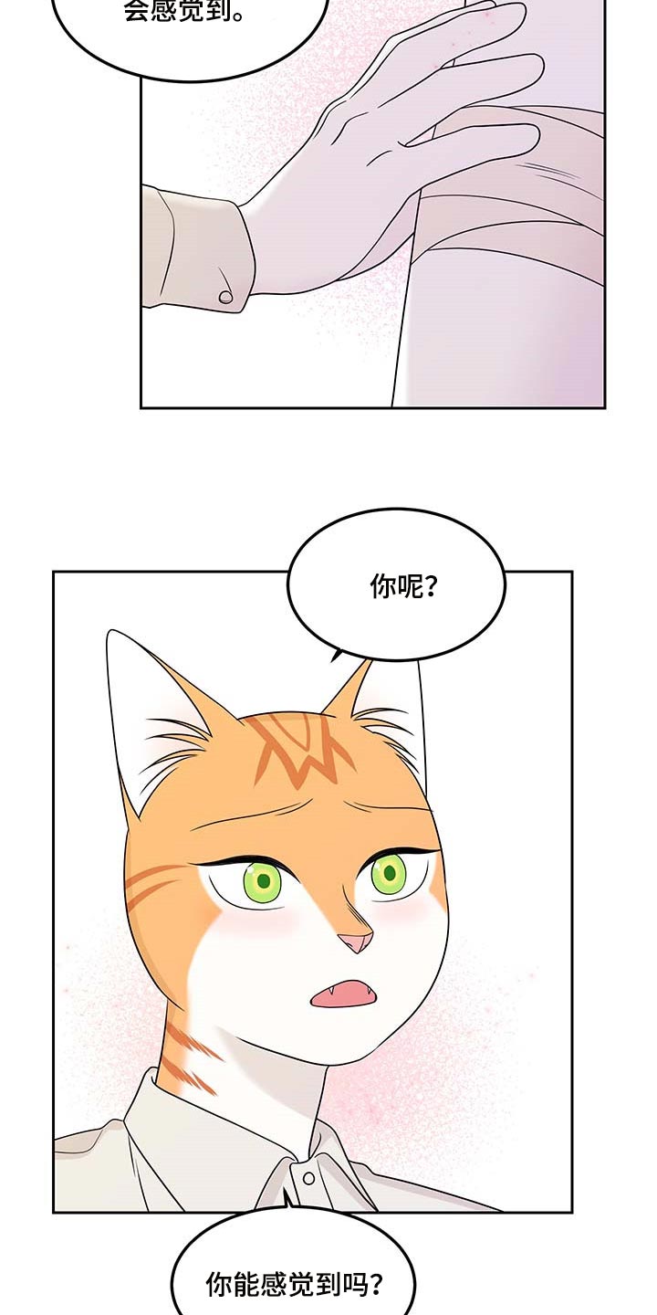 第46章：征服2
