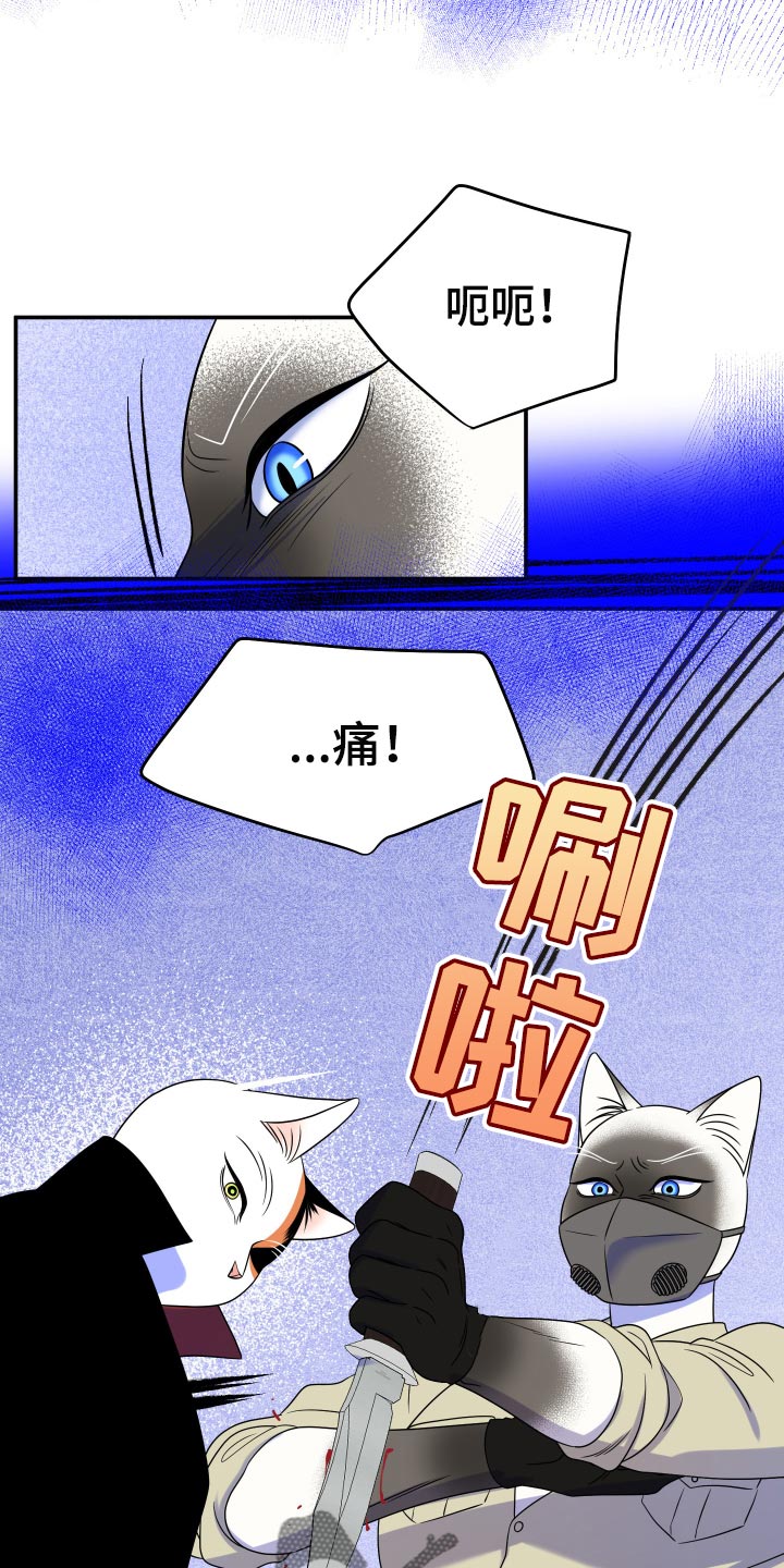 第50章：恶斗10