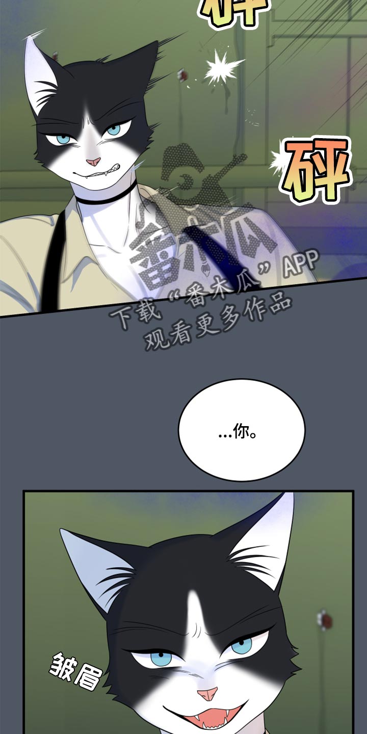 第84章：【第二季】爆炸3