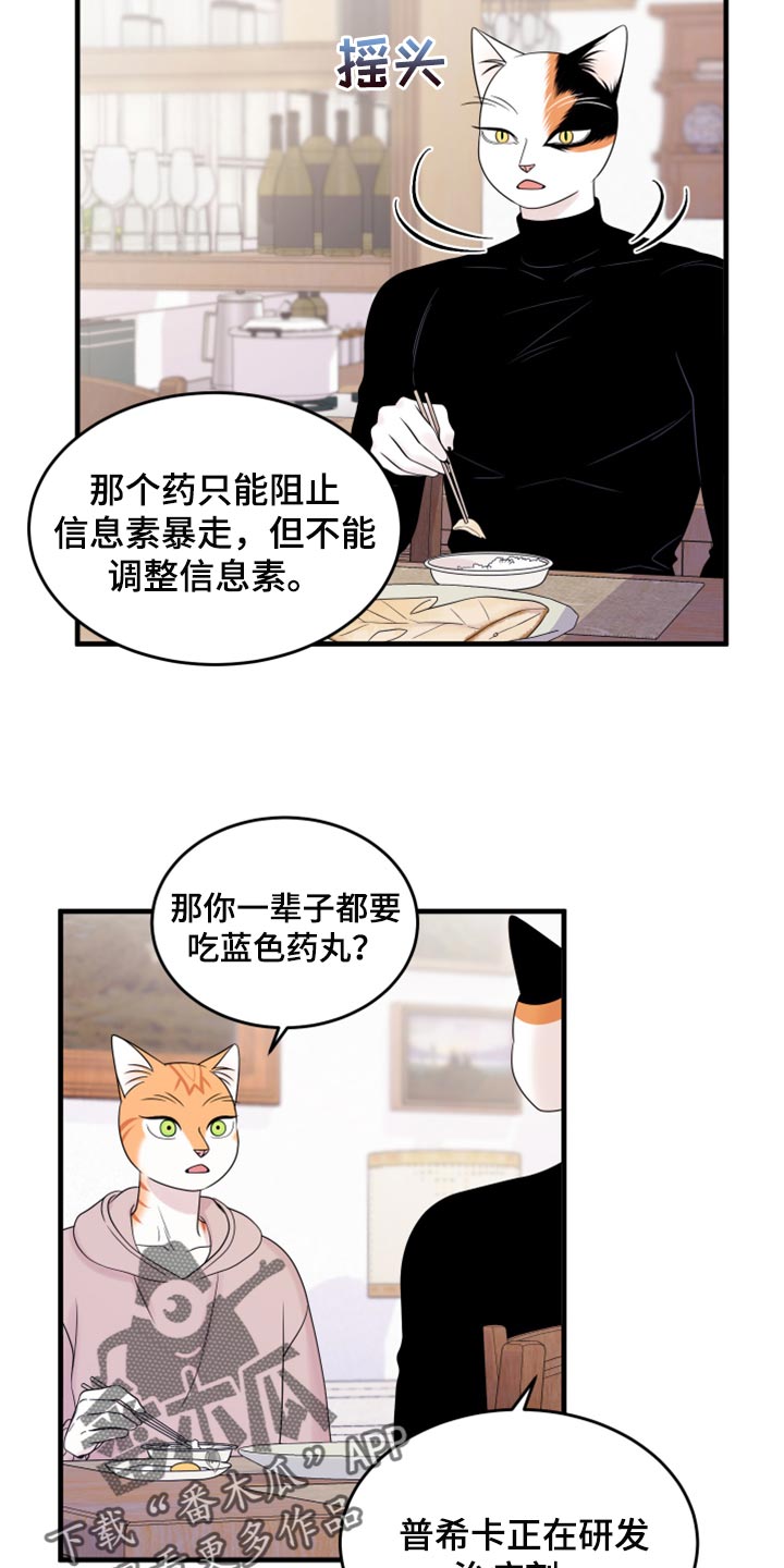 第73章：【第二季】绑架灵猫9