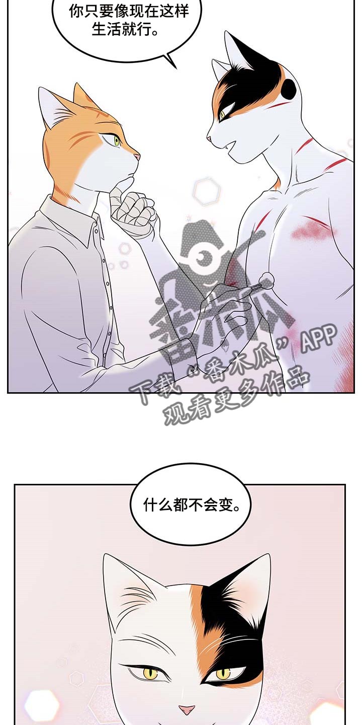 第45章：别哭7