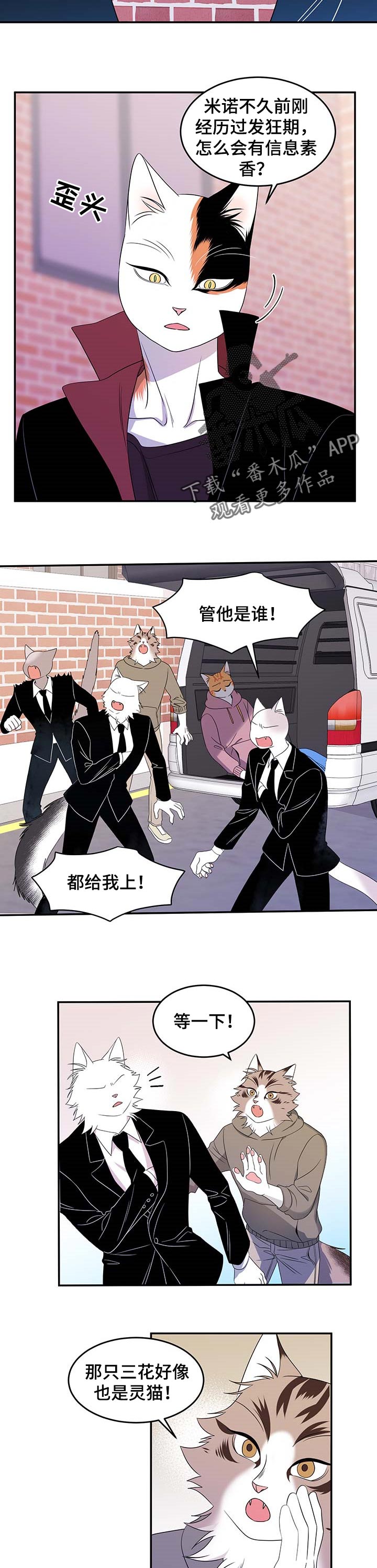 第28章：奇特1