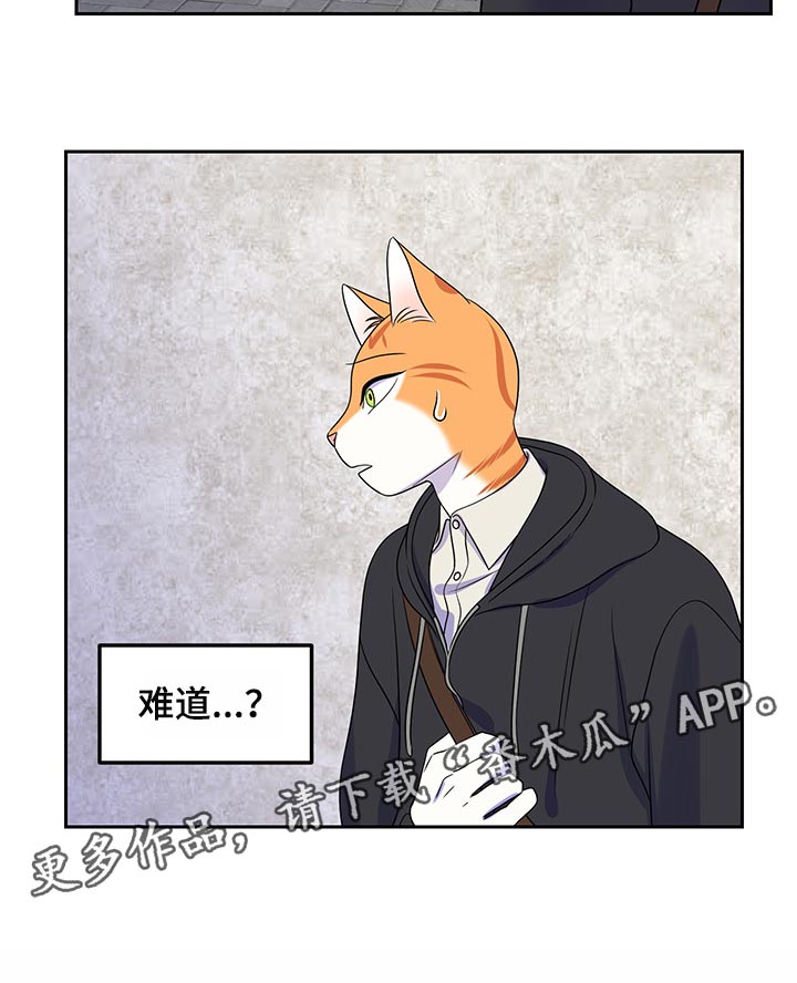 第43章：世道不太平25