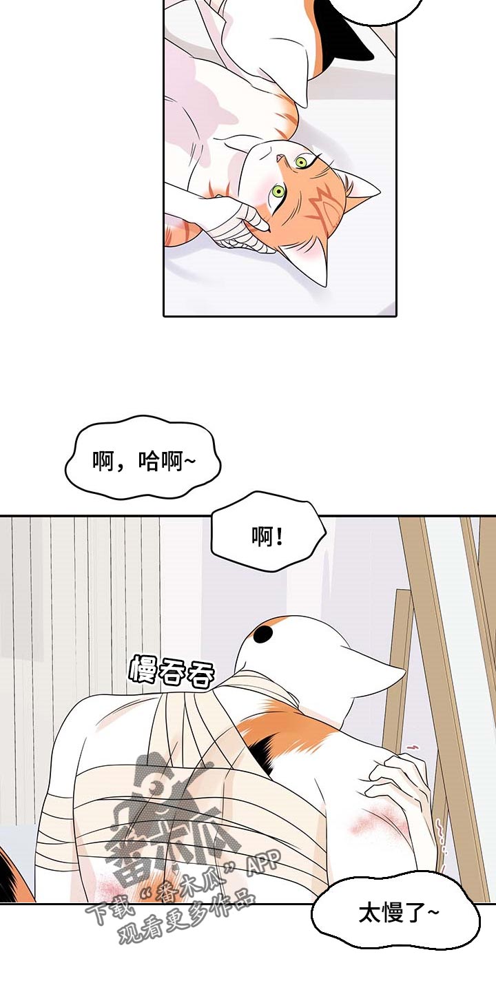 第47章：好好看着你3