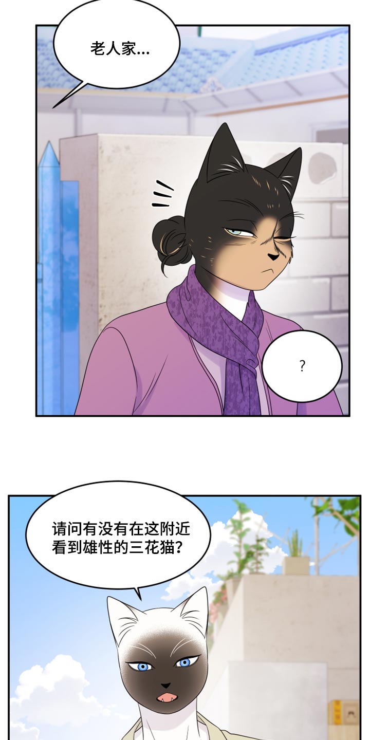 第55章：【第二季】你再坚持一下17