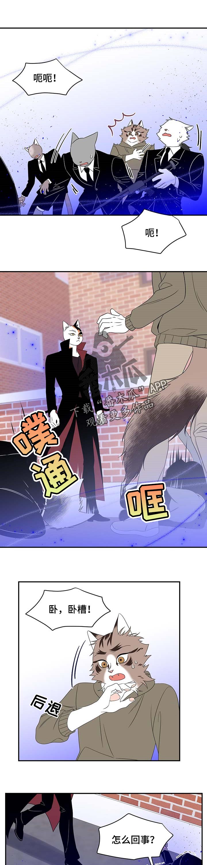 第28章：奇特5