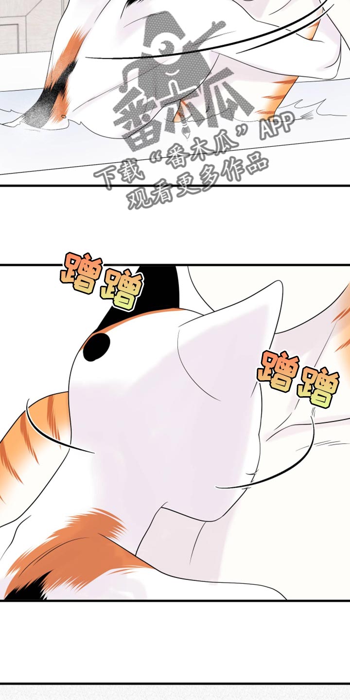 第71章：【第二季】撒娇18