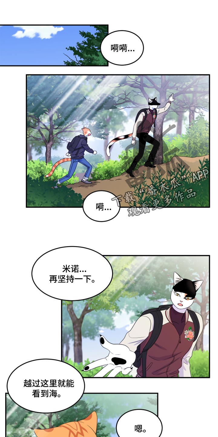 第60章：【第二季】失去理智0